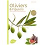 Oliviers et figuiers (NE). En pot, en jardin et pour la production