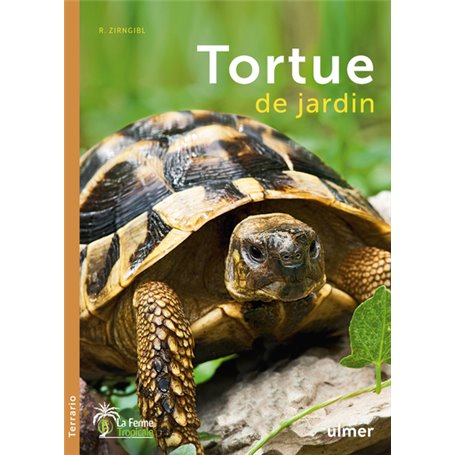 La Tortue de jardin