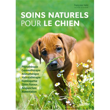 Soins naturels pour le chien