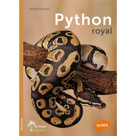 Python royal