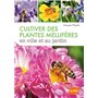 Cultiver des plantes mellifères en ville et au jardin