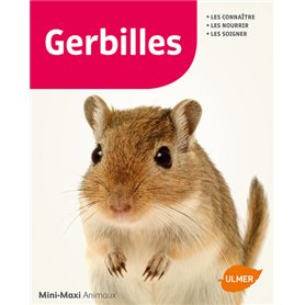 Gerbilles