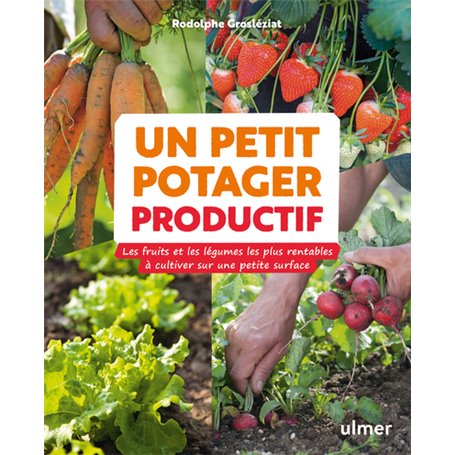 Un petit potager productif