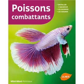 Poissons combattants