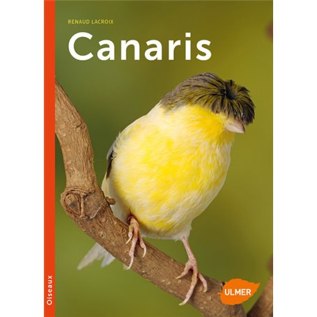 Canaris