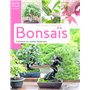 Bonsaïs - Comment les cultiver facilement