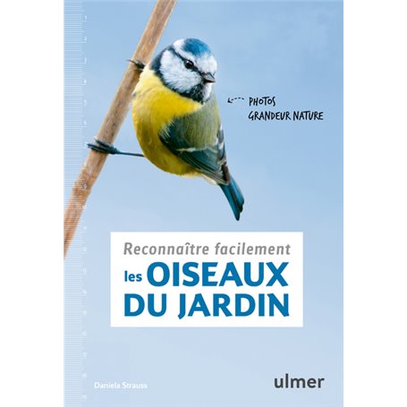 Reconnaître facilement les oiseaux du jardin - Photos grandeur nature