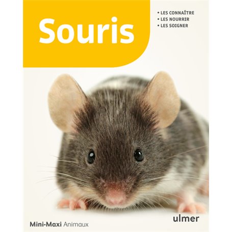 Souris