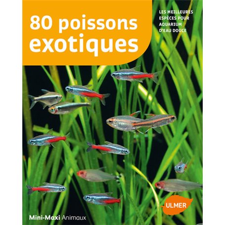 80 poissons exotiques