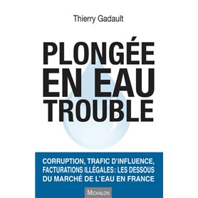 Plongée en eau trouble. Corruption, trafic d'influence, facturations illégales : les dessous du marc