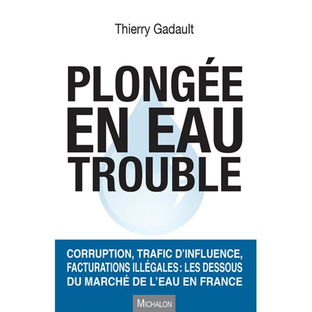 Plongée en eau trouble. Corruption, trafic d'influence, facturations illégales : les dessous du marc