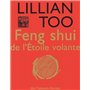 Feng shui de l'étoile volante