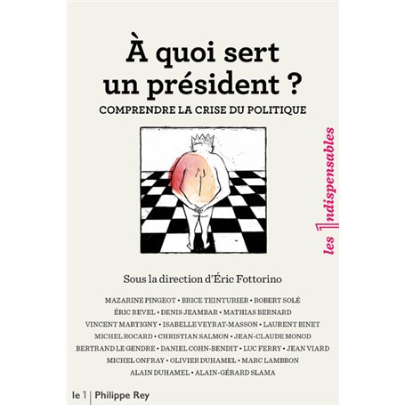 A quoi sert un président ? Comprendre la crise du politique