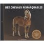 Des chevaux remarquables