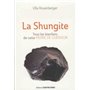 La Shungite - Tous les bienfaits de cette pierre de guérison