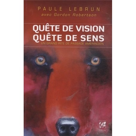 Quête de vision, quête de sens