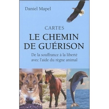 Cartes le chemin de guérison