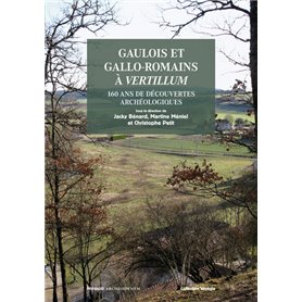 Gaulois et Gallo-romains à Vertillium. 160 ans de découvertes archéologiques