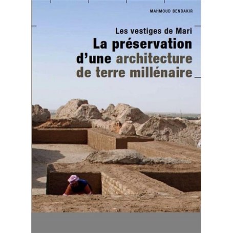 Les Vestiges de Mari, la préservation d'une architecture de terre millénaire