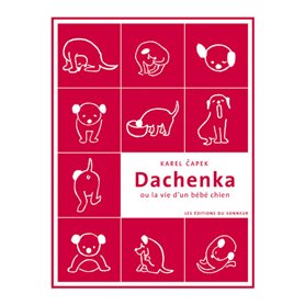 Dachenka ou la vie d'un bébé chien