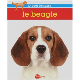 Le beagle NE