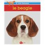 Le beagle NE