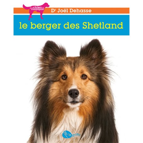 Le berger des Shetland