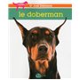 Le Doberman