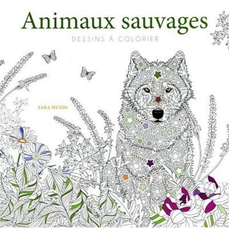 Animaux sauvages - Dessins à colorier