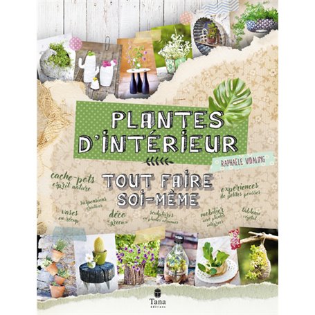 Tout faire soi-même plantes d'intérieur