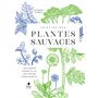 Le Guide des plantes sauvages - 100 plantes essentielles aux vertus bienfaisantes