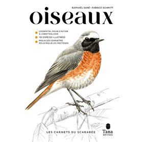 Les carnets du scarabée - Oiseaux