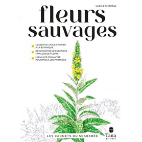 Les carnets du scarabée - Fleurs sauvages