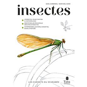 Les carnets du scarabée - Insectes