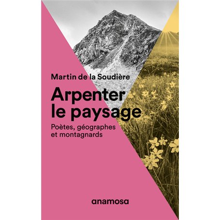 Arpenter le paysage - Poètes, géographes et montagnards