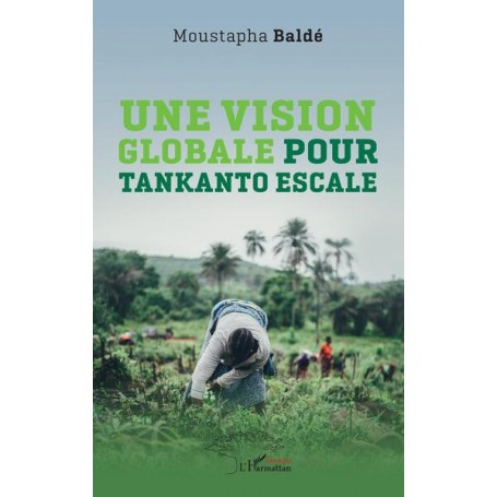 Une vision globale pour Tankanto Escale