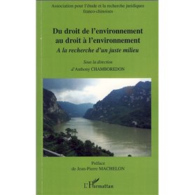 Du droit de l'environnement au droit à l'environnement
