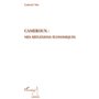 Cameroun : mes réflexions économiques