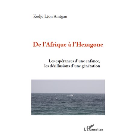 De l'Afrique à l'hexagone