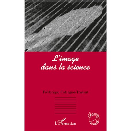 L'image dans la science