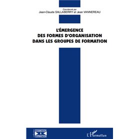 L'émergence des formes d'organisation dans les groupes de formation