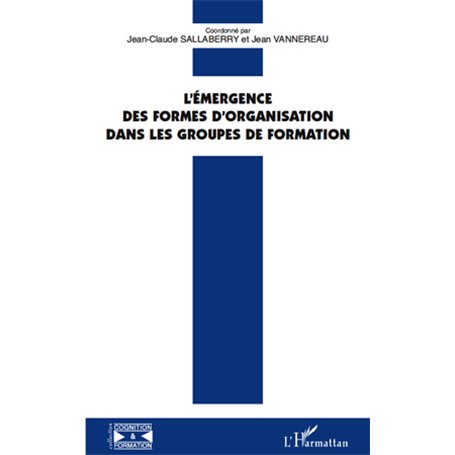 L'émergence des formes d'organisation dans les groupes de formation