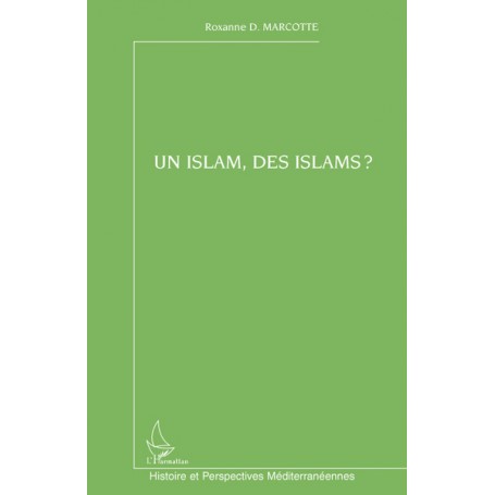 Un islam, des islams ?