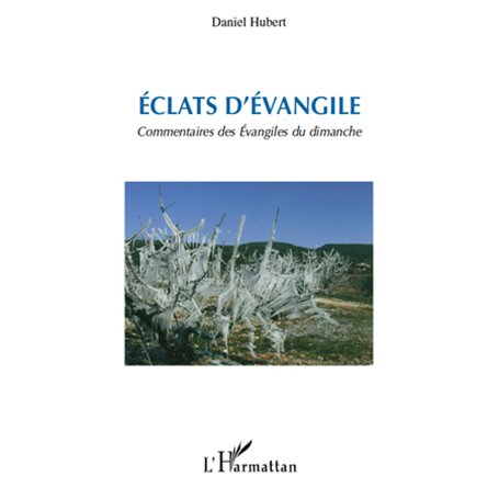 Eclats d'Evangile