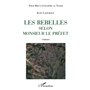 Les rebelles selon Monsieur le Préfet