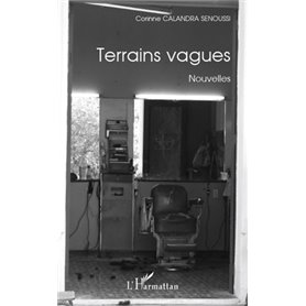 Terrains vagues