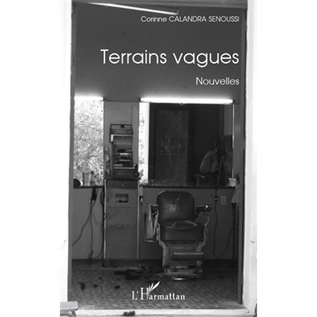 Terrains vagues
