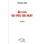 Autour du feu de nuit