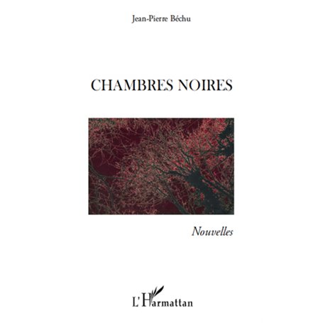 CHAMBRES NOIRES