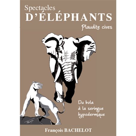 Spectacles d'éléphants